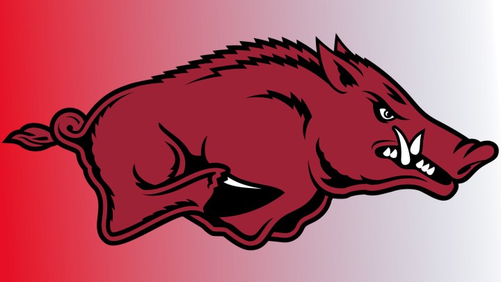 Arkansas logo