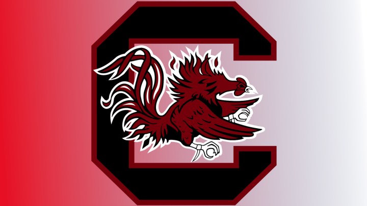 South Carolina logo