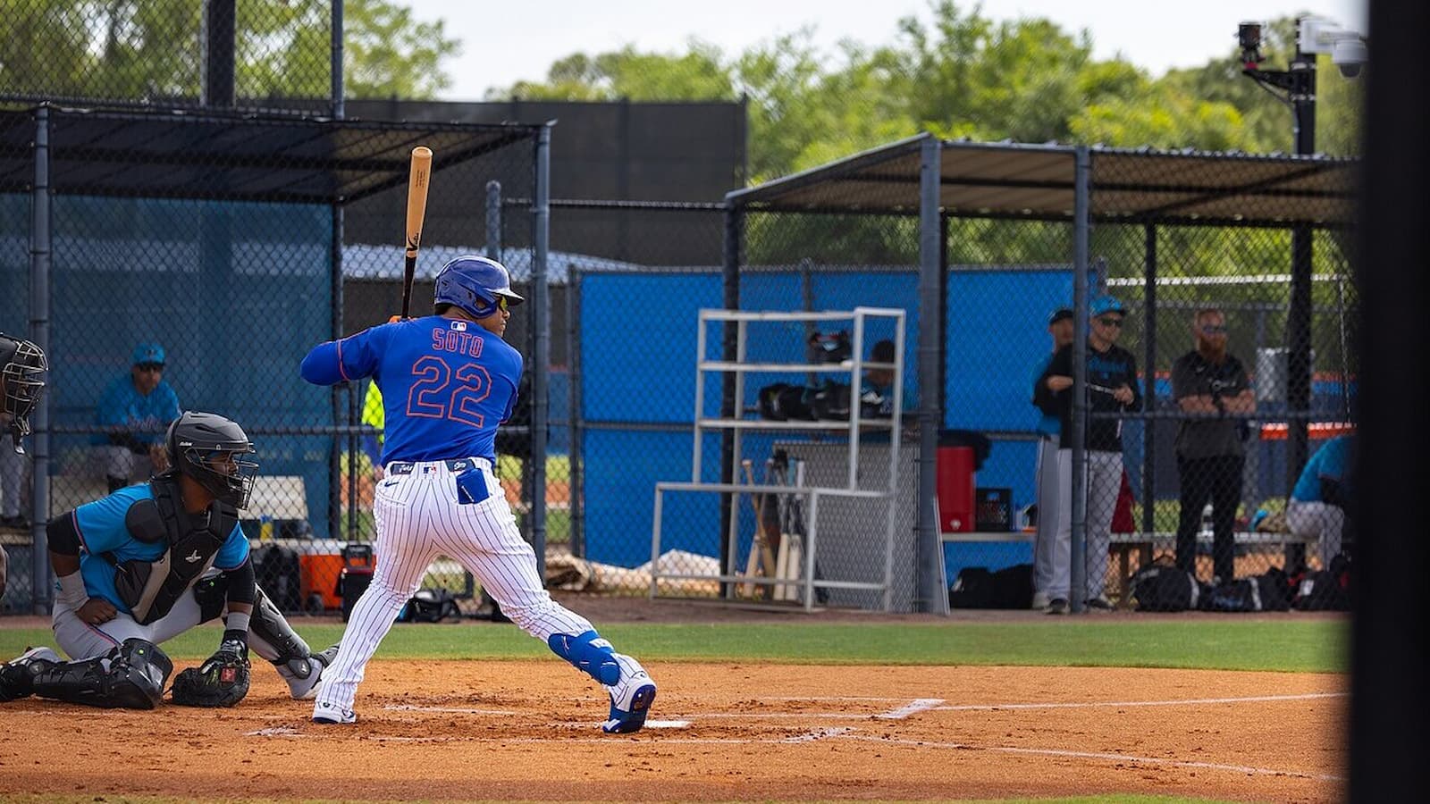 Juan Soto