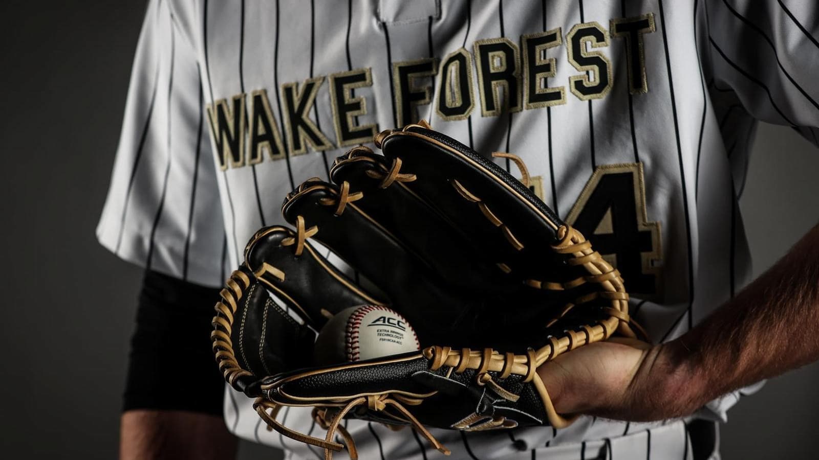 Wake Forest baseball image